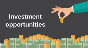 Investment Opportunities In India, Identified Projects for right investment, Reasons for Investment, Core Project Financials, Potential Buyers, Market Size, Project Analysis, Booming sectors