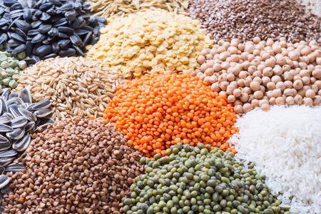 Cereal Processing (Rice, Dal, Pulses, Oat, Wheat), Sugar and value added Products