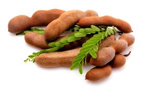 TAMARIND AND TAMARIND BASED PRODUCTS (Tamarind Juice Concentrate, Tamarind Kernel Powder, Gum From Tamarind Seed Powder, Tamarind Pulp From Tamarind,    Tamarind Juice Powder, Oil From Tamarind Seed, Tartaric Acid, Food Colour, Crude Pectin, Tamarind Oil)