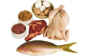 Meat, Chicken, Egg, Pork, Fish Processing, Marine Products, Seafood Processing Projects