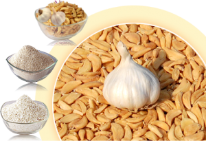 Garlic and Garlic based Products